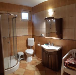 a bathroom with a toilet and a sink and a shower at Sunshine Apartment in Hajdúszoboszló