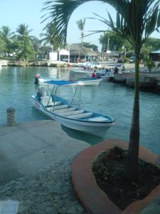 una barca è parcheggiata accanto a una palma di Hotel Tipico Maura a Bayahibe