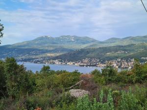 Príroda v okolí apartmánu