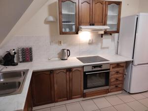 Kuchyň nebo kuchyňský kout v ubytování Harrachov Apartment Rýdl