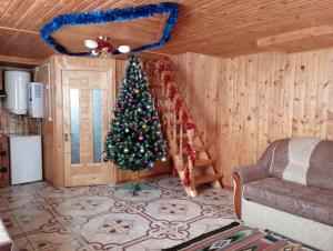 un albero di Natale all'angolo di un soggiorno di Holiday Home Melodiya Karpat a Jaremče