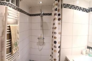 y baño con ducha y cortina de ducha. en Suite cosy 2 chambres et sdb privative en Blagnac