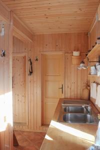 a kitchen with a sink and a wooden wall at CHALET Kocna - I FEEL ALPS in Stahovica