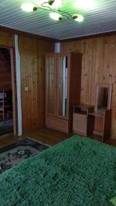 a living room with wooden walls and a green rug at Kray Dorogy in Yaremche