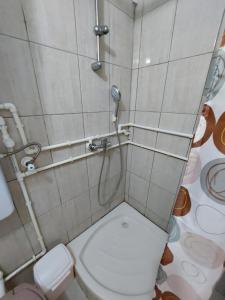 un piccolo bagno con wc e doccia di Borsko jezero a Bor