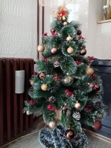 ein Weihnachtsbaum mit Ornamenten darauf in der Unterkunft Apartment Anna in Belgrad