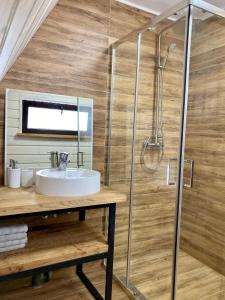 a bathroom with a shower and a sink at Тихий куточок in Izki