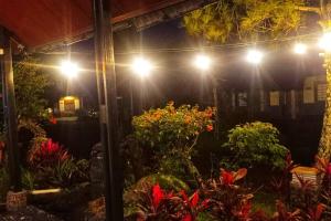 Afbeelding uit fotogalerij van Designer Villa Tokyo in Cianjur +56 foto's