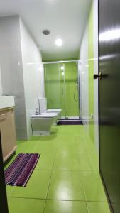 baño verde con ducha y lavamanos en Habitación con cama doble, piso compartido en Avenida Blasco Ibáñez, en Valencia