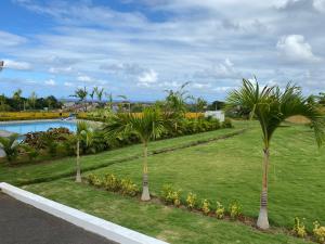 Photo de la galerie de l'établissement L&V Paradise Vacation Home with Pool and Gym, à The Rock