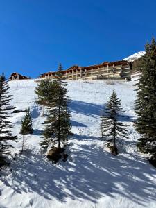 a group of trees on a snowy hill with a house at Studio centre village au pied des pistes in Allos