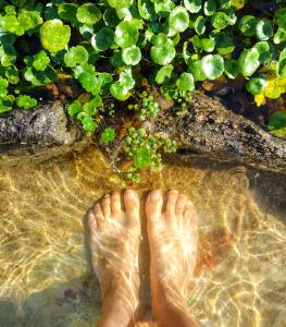 a persons feet standing in the water near plants at Del Sol a la Montaña EcoLodge - Turismo Consciente in Potrero de Garay