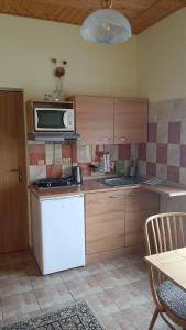Kuchyň nebo kuchyňský kout v ubytování Guest House Vila Frýdštejn