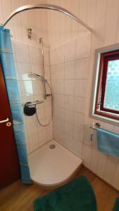 a bathroom with a shower with a toilet and a green rug at Lille Hus in Gartow