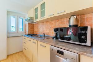 Кухня или мини-кухня в Apartmani Valun1
