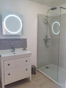 ein Bad mit einem Waschbecken und einer Dusche mit einem Spiegel in der Unterkunft Gîte du château de Chevannes in Amazy