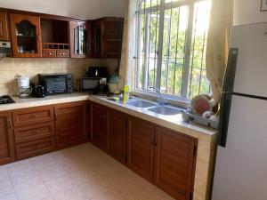 a kitchen with a sink and a refrigerator at Villa Palmistes Apartment in La Gaulette