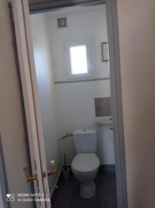 Elle comprend une petite salle de bains pourvue de toilettes et d'une fenêtre. dans l'établissement Appartement Catalina, à Calvi