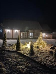 Gallery image of Holiday home Usadba Novoselitsa in Novoselitsa