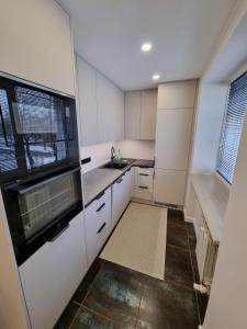 Η κουζίνα ή μικρή κουζίνα στο Tammsaare Luxury Apartment +23 φωτογραφίες