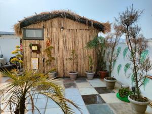 Zahrada ubytování Urban homestay volcastay