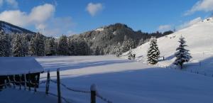 Haus Jessica incl National Park Sommercard v zime