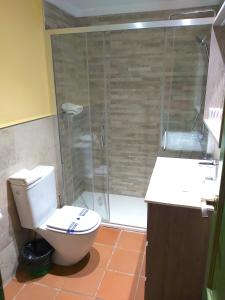 a bathroom with a shower and a toilet and a sink at Plaza Andalucía Edificio Dornajo 2-4 pax in Monachil