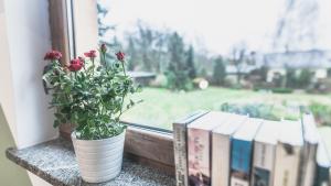 Φωτογραφία από το άλμπουμ του Przystanek Czarne σε Jelenia Góra