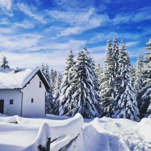 un bosque cubierto de nieve con una casa y árboles en Markov konak en Jahorina