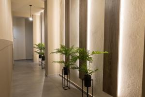 korytarz z rzędem roślin na ścianie w obiekcie NOHO Boutique , premium living Dikeou 8 w Atenach