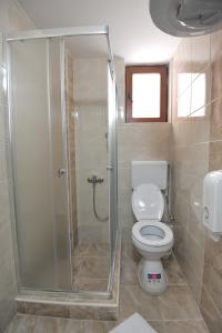 uma casa de banho com um chuveiro e um WC. em Kopaonik Apartman Sanja em Kopaonik