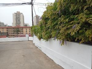 Fotografie z fotogalerie ubytování Hostal Tres casas v destinaci Viña del Mar