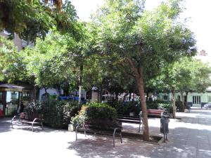 grupa ławek pod drzewem na chodniku w obiekcie Habitación privada Granada centro w Grenadzie
