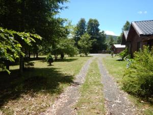 un camino de tierra en un campo al lado de una casa en Entre Hualles y Pellines, en Pucón
