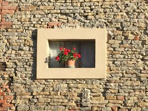 una ventana con una maceta de flores en una pared de ladrillo en Casa Branzele, en Trezzo Tinella