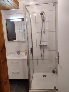 a shower with a glass door in a bathroom at La Lonzagne in Peisey-Nancroix