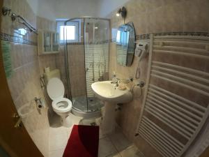 a bathroom with a toilet and a sink and a shower at Casa Ana in Sinaia