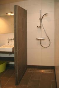 uma casa de banho com um chuveiro e um lavatório. em De Huttert- Salland Stee em Luttenberg