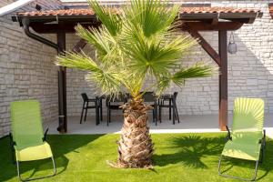 a palm tree in a yard with two chairs and a table at B&M Rab-Lopar in Lopar