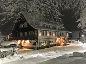 a house covered in snow at night at Pension Baarblick in Donaueschingen