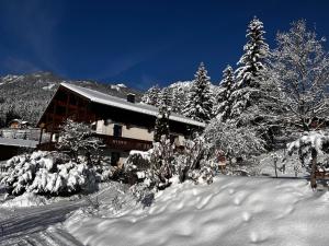 Afbeelding uit fotogalerij van Apartmenthaus Rapplhof in Haus im Ennstal