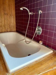 Kúpeľňa v ubytovaní Chalet Motta