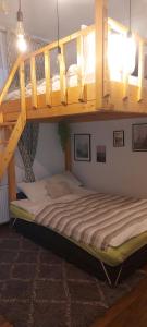 a bedroom with a bunk bed with a ladder at Garden in Satu Mare