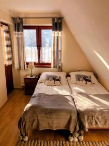 a bedroom with two beds and a window at Dom Wypoczynkowy U Kasi in Jurgów