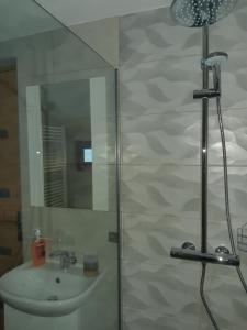 a bathroom with a shower and a sink at Casa Elena in Voineşiţa +37 photos