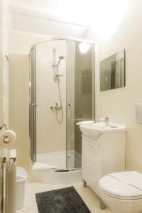 a bathroom with a shower and a toilet and a sink at Chata u Bronka in Białka Tatrzanska +213 photos