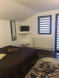 a bedroom with a bed and a television and a rug at Casa Elena in Voineşiţa