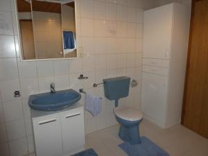 a bathroom with a blue toilet and a sink at Bauernhof Kuen in Längenfeld