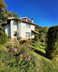 Zahrada ubytování Villa Diva + 24 fotografií