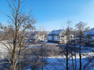 einen schneebedeckten Hof mit Bäumen und einem Haus in der Unterkunft Apartament Zielone Tarasy - PCK 34 in Jelenia Góra